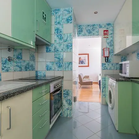 Seashell By Atlantic Places